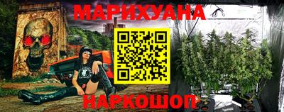 стафф Дубна
