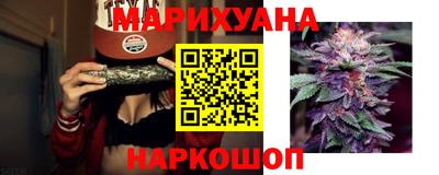 стафф Дубна
