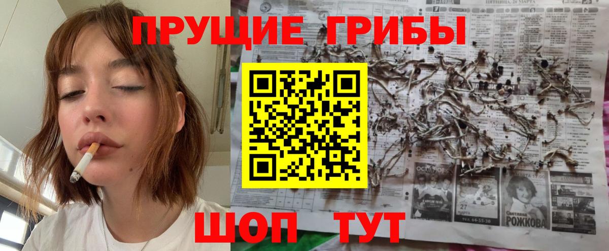 Галлюциногенные грибы GOLDEN TEACHER Омск