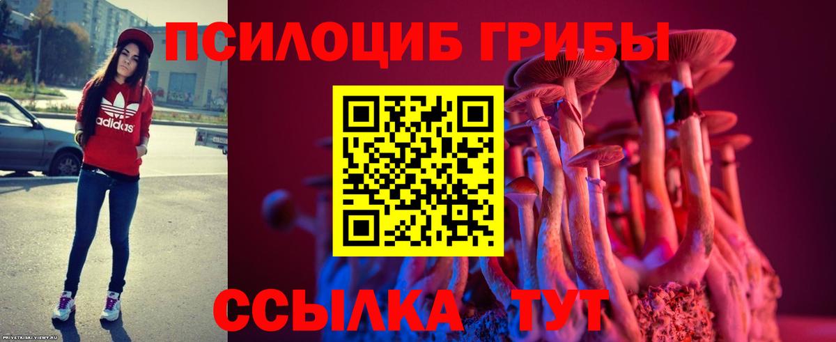 Омск  Псилоцибиновые грибы GOLDEN TEACHER  Вход с VPN 